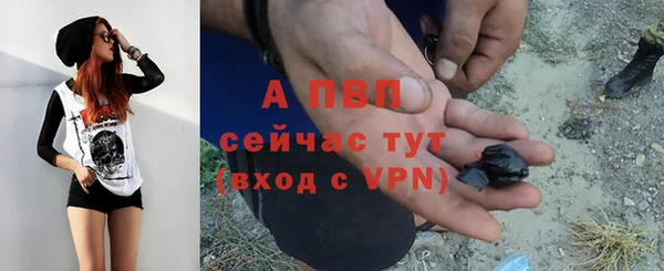 индика Белоозёрский