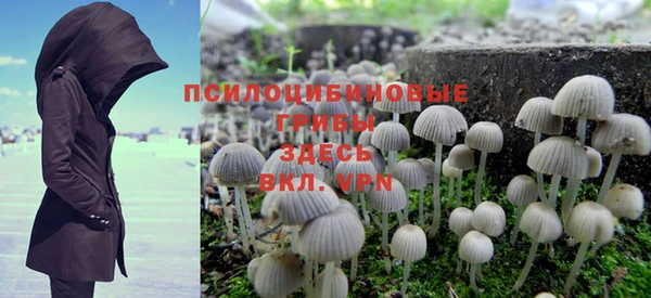 индика Белоозёрский