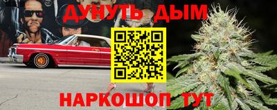 ALPHA PVP Камышлов