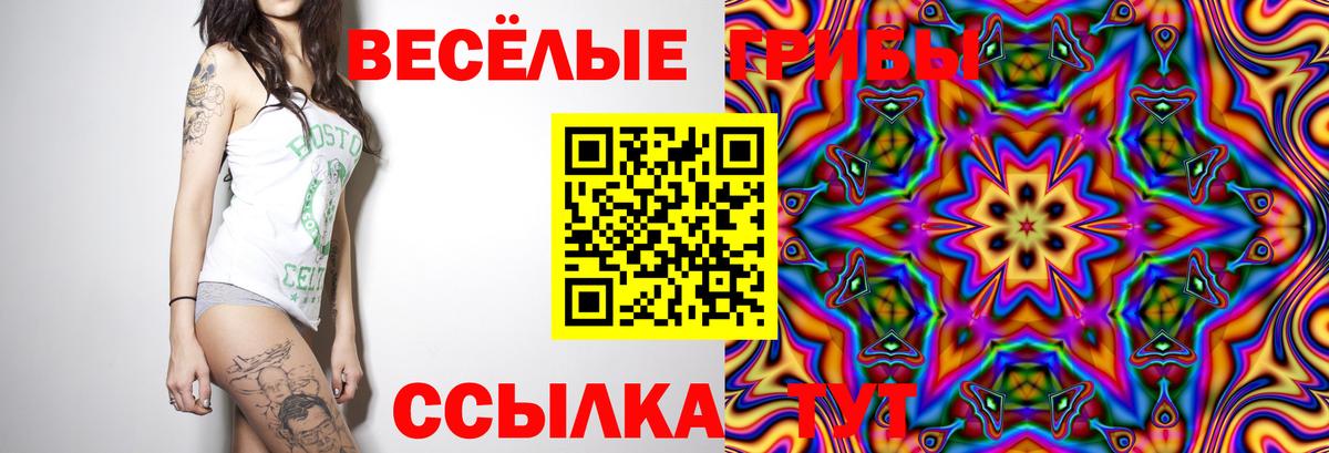 Галлюциногенные грибы ЛСД Луховицы