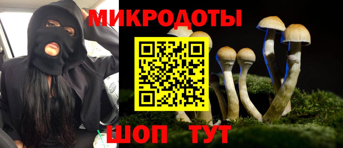 где купить наркоту  Вход с VPN  Луховицы  Псилоцибиновые грибы Psilocybe 